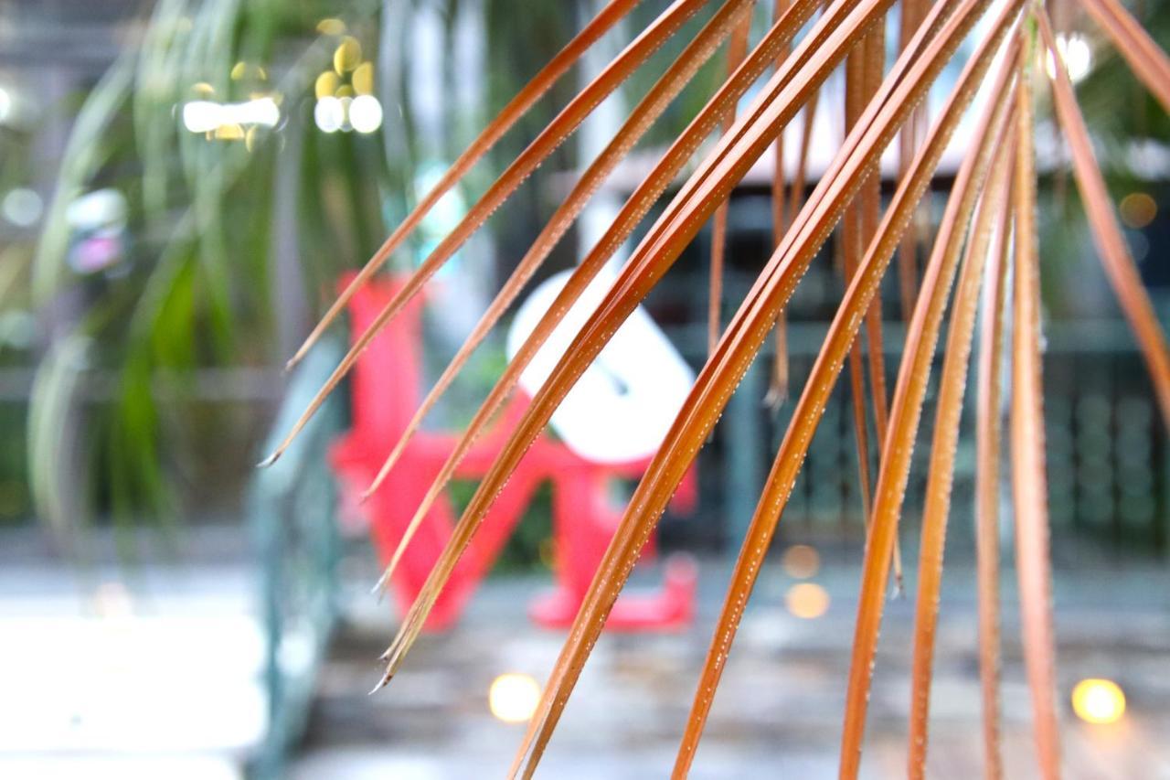Blue Owl-Hualien No 2396-2397-2398-2399 Apartman Kültér fotó